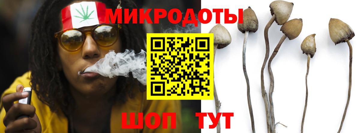 Нальчик  Галлюциногенные грибы Psilocybine cubensis  Псилоцибиновые грибы ЛСД  Вход с VPN 